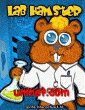 game pic for Lab Hamster  W810